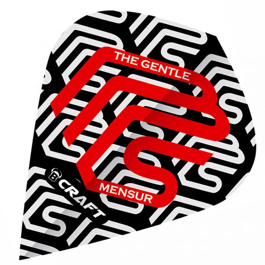 Bull's DE B-Craft Dart Kite Flights - Mensur Suljovic