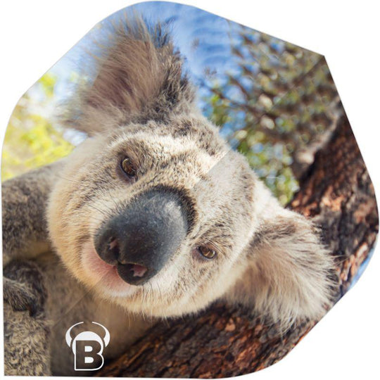 Bull's DE Motex Dart Flights - Koala