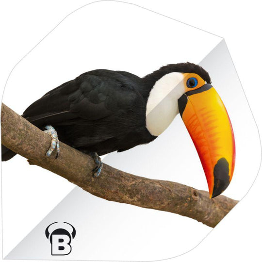 Bull's DE Motex Dart Flights - Toucan